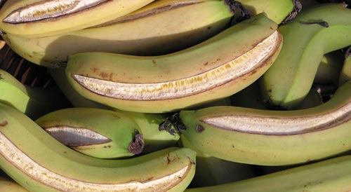 Перезревшие бананы
